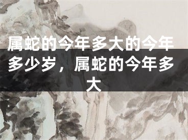 属蛇的今年多大的今年多少岁，属蛇的今年多大