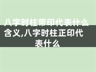 八字时柱带印代表什么含义,八字时柱正印代表什么