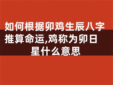 如何根据卯鸡生辰八字推算命运,鸡称为卯日星什么意思