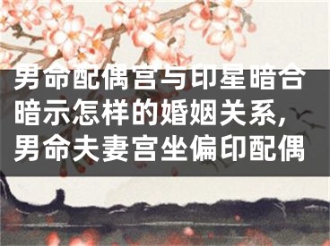 男命配偶宫与印星暗合暗示怎样的婚姻关系,男命夫妻宫坐偏印配偶