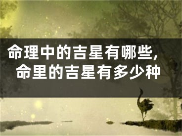 命理中的吉星有哪些,命里的吉星有多少种