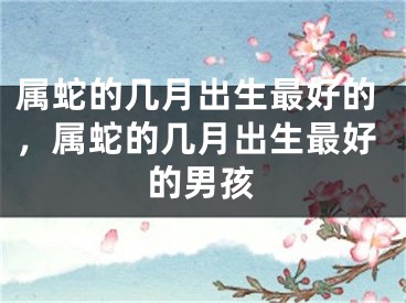属蛇的几月出生最好的，属蛇的几月出生最好的男孩