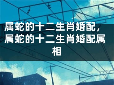 属蛇的十二生肖婚配，属蛇的十二生肖婚配属相