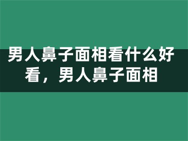 男人鼻子面相看什么好看，男人鼻子面相