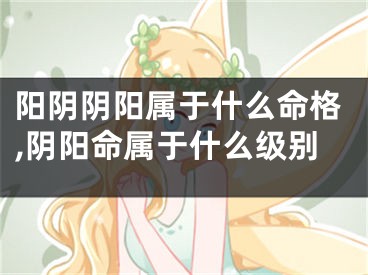 阳阴阴阳属于什么命格,阴阳命属于什么级别