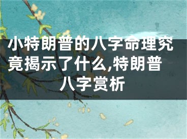 小特朗普的八字命理究竟揭示了什么,特朗普八字赏析