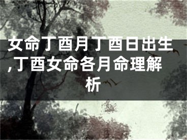 女命丁酉月丁酉日出生,丁酉女命各月命理解析