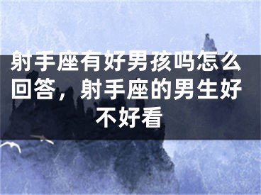 射手座有好男孩吗怎么回答，射手座的男生好不好看