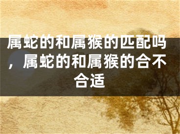 属蛇的和属猴的匹配吗，属蛇的和属猴的合不合适