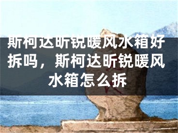 斯柯达昕锐暖风水箱好拆吗，斯柯达昕锐暖风水箱怎么拆