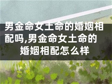 男金命女土命的婚姻相配吗,男金命女土命的婚姻相配怎么样