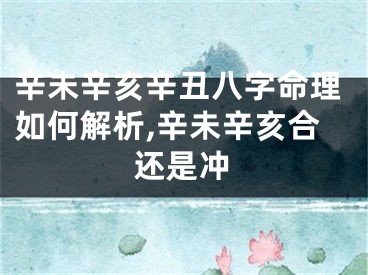 辛未辛亥辛丑八字命理如何解析,辛未辛亥合还是冲