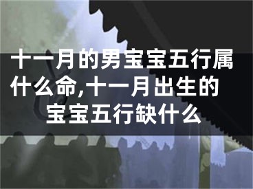 十一月的男宝宝五行属什么命,十一月出生的宝宝五行缺什么