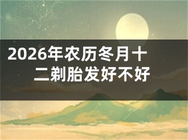 2026年农历冬月十二剃胎发好不好