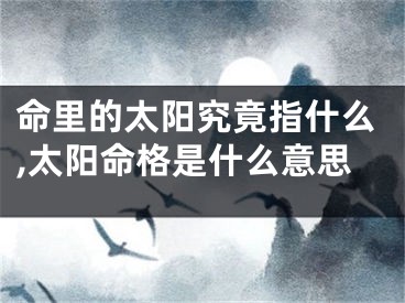 命里的太阳究竟指什么,太阳命格是什么意思