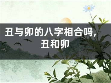 丑与卯的八字相合吗,丑和卯