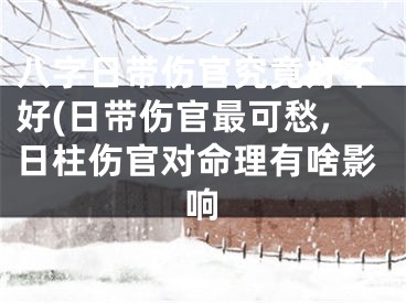 八字日带伤官究竟好不好(日带伤官最可愁,日柱伤官对命理有啥影响