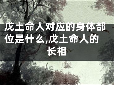 戊土命人对应的身体部位是什么,戊土命人的长相