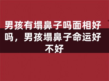 男孩有塌鼻子吗面相好吗，男孩塌鼻子命运好不好