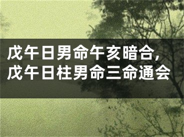 戊午日男命午亥暗合,戊午日柱男命三命通会