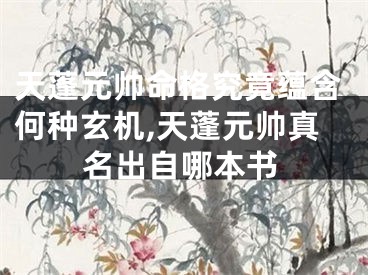 天蓬元帅命格究竟蕴含何种玄机,天蓬元帅真名出自哪本书