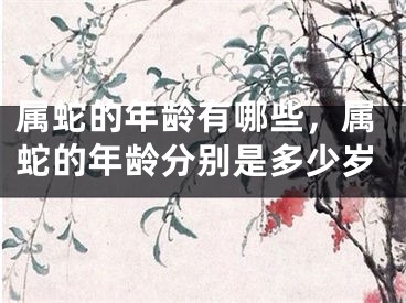 属蛇的年龄有哪些，属蛇的年龄分别是多少岁