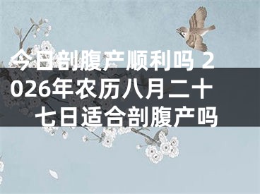 今日剖腹产顺利吗 2026年农历八月二十七日适合剖腹产吗