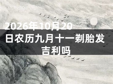 2026年10月20日农历九月十一剃胎发吉利吗