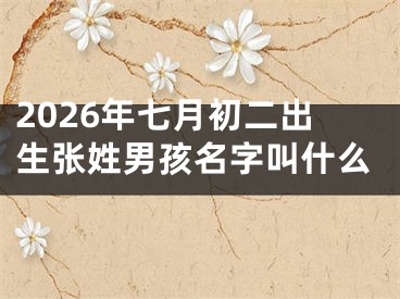 2026年七月初二出生张姓男孩名字叫什么