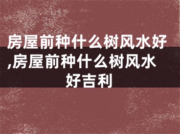 房屋前种什么树风水好,房屋前种什么树风水好吉利