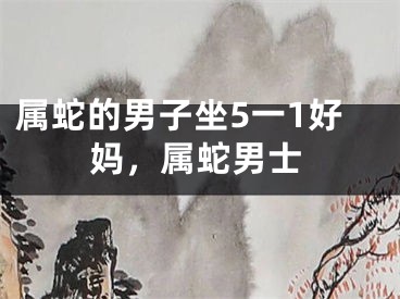 属蛇的男子坐5一1好妈,属蛇男士