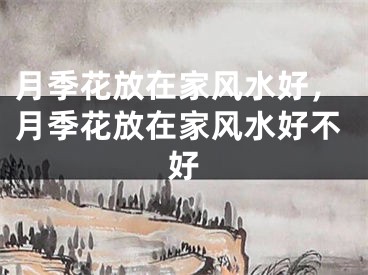月季花放在家风水好，月季花放在家风水好不好