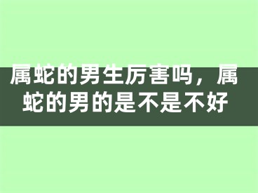 属蛇的男生厉害吗,属蛇的男的是不是不好