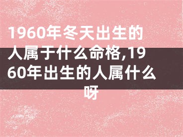 1960年冬天出生的人属于什么命格,1960年出生的人属什么呀