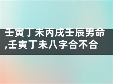 壬寅丁未丙戌壬辰男命,壬寅丁未八字合不合