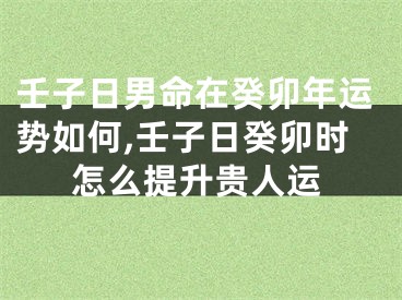 壬子日男命在癸卯年运势如何,壬子日癸卯时怎么提升贵人运