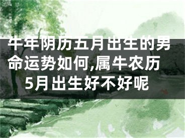 牛年阴历五月出生的男命运势如何,属牛农历5月出生好不好呢