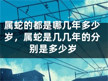 属蛇的都是哪几年多少岁，属蛇是几几年的分别是多少岁