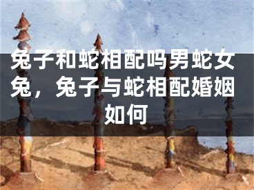 兔子和蛇相配吗男蛇女兔，兔子与蛇相配婚姻如何