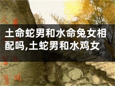 土命蛇男和水命兔女相配吗,土蛇男和水鸡女
