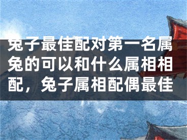 兔子最佳配对第一名属兔的可以和什么属相相配，兔子属相配偶最佳