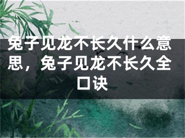 兔子见龙不长久什么意思，兔子见龙不长久全口诀