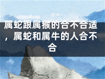 属蛇跟属猴的合不合适，属蛇和属牛的人合不合