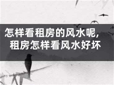 怎样看租房的风水呢,租房怎样看风水好坏