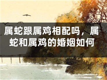 属蛇跟属鸡相配吗，属蛇和属鸡的婚姻如何