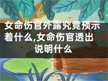 女命伤官外露究竟预示着什么,女命伤官透出说明什么