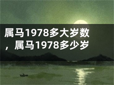 属马1978多大岁数，属马1978多少岁