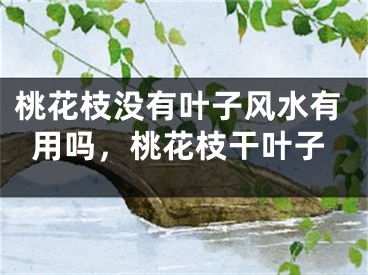桃花枝没有叶子风水有用吗，桃花枝干叶子