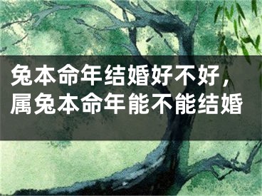 兔本命年结婚好不好，属兔本命年能不能结婚