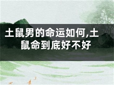 土鼠男的命运如何,土鼠命到底好不好